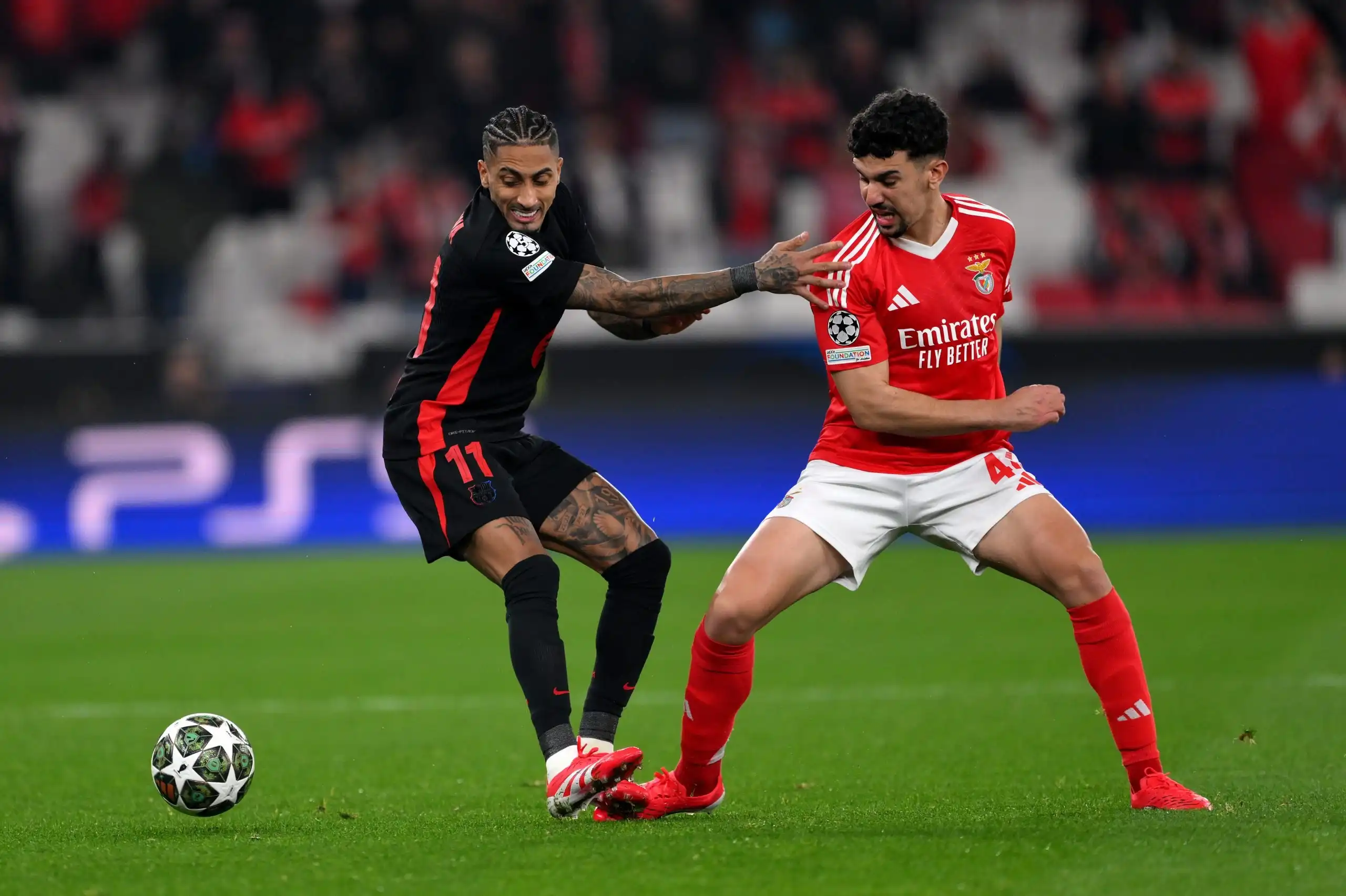 Hợp đồng hiện tại giữa Tomas Araujo và Benfica có thời hạn kéo dài đến mùa hè năm 2029